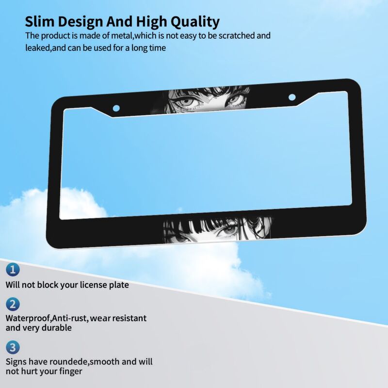 Cadre de plaque d'immatriculat - Model Kit Vise avis et prix