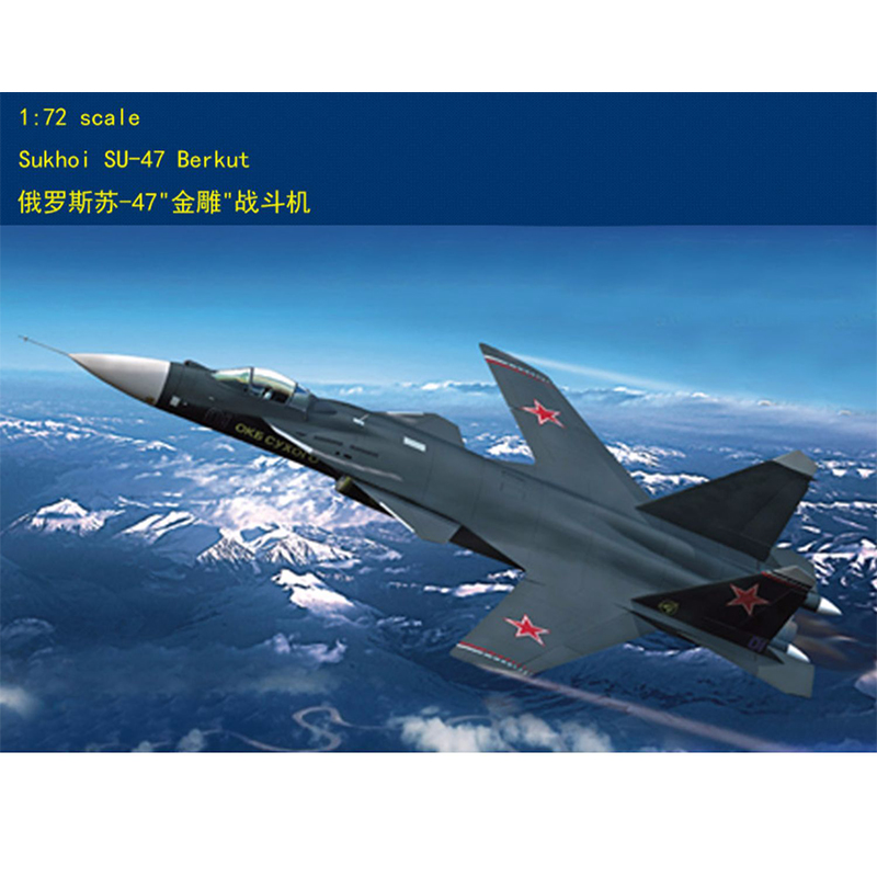 Hobbyboss 80211 Modèle de chas - Model Kit Hasegawa avis et prix