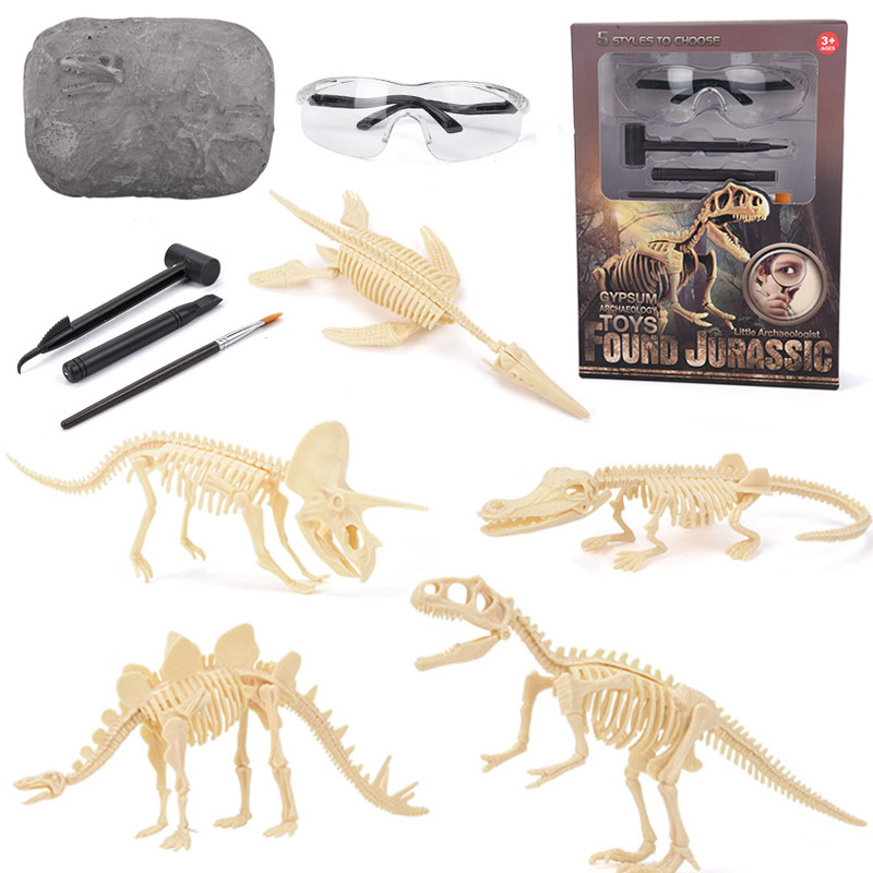 Kit d'excavation de fossiles d - Model Kit Girls avis et prix