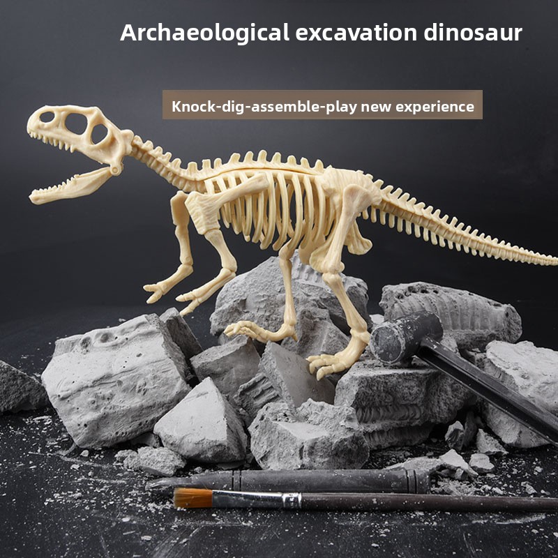 Kit d'excavation de fossiles d - Model Kit Girls avis et prix