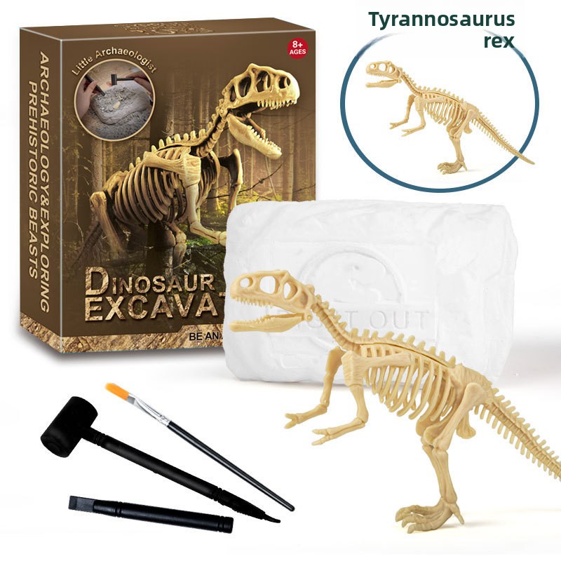 Kit d'excavation de fossiles d - Model Kit Girls avis et prix