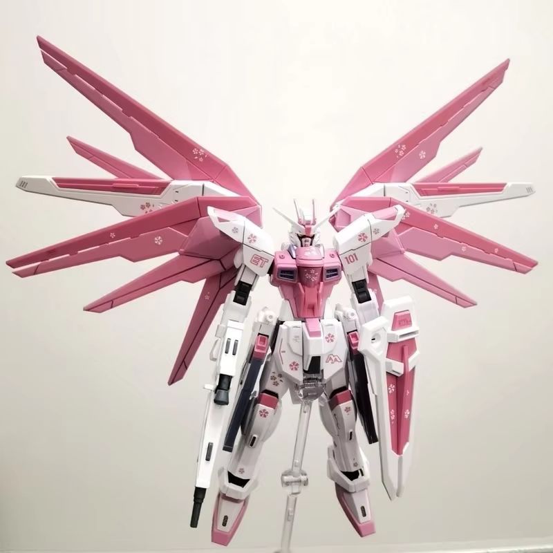 JMS HG 1/144 ZY-06 Freedom Ass - Model Kit Gundam Mg avis et prix